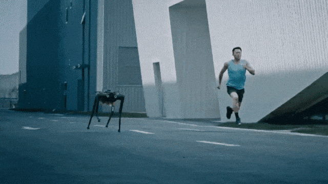 55.gif