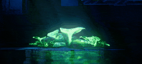 000001_compressed
