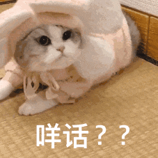 006ARE9vgy1g0t9o6tu74g306b06bqhi.gif