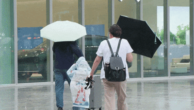 广州今夜起停雨 下周昼夜温差大（记者方宁，摄兼助梁伟泉）[00_00_33--00_00_39].gif