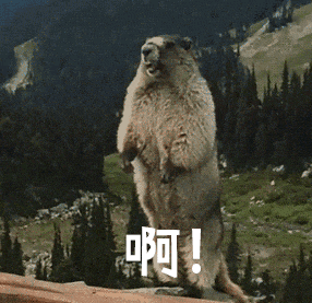 b642865571f68121c32e7c95b71a225d.gif