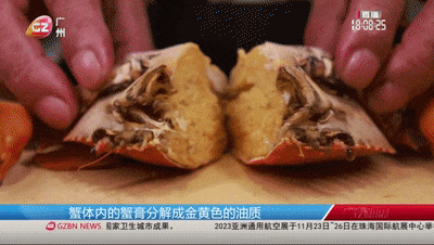 动图8.gif