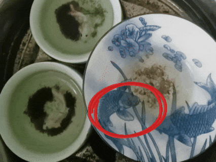 8月9日.gif