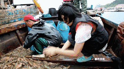 640.gif