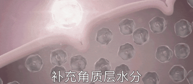 640.gif