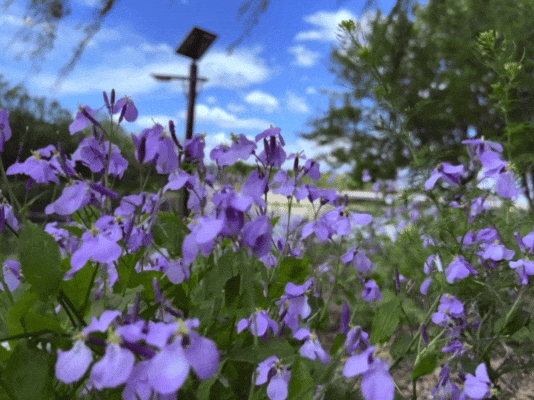 GIF_20260428132949173.GIF