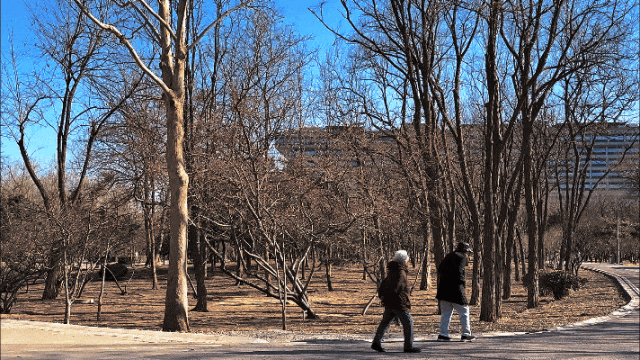 GIF_20260312152238608.GIF
