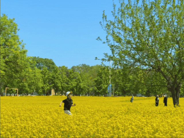 GIF_20260429143335266.GIF