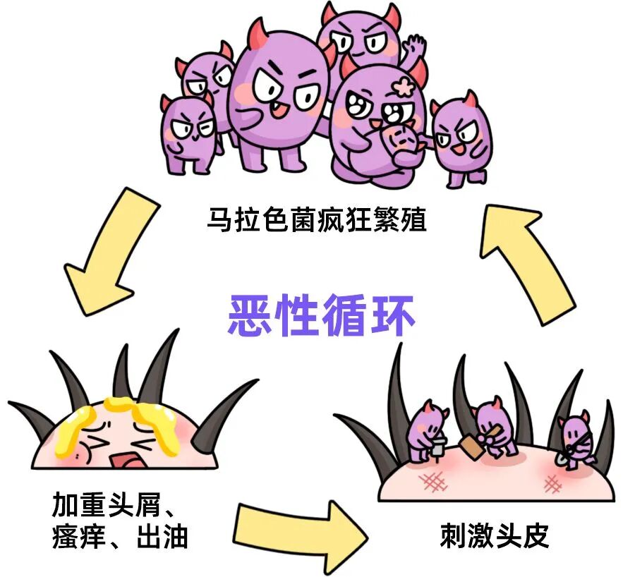 image3.jpg