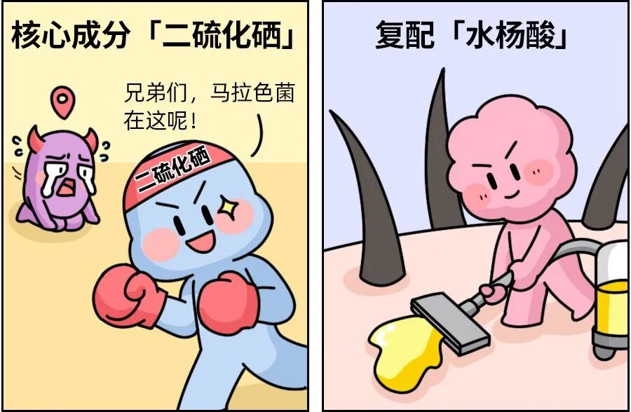 image8.jpg