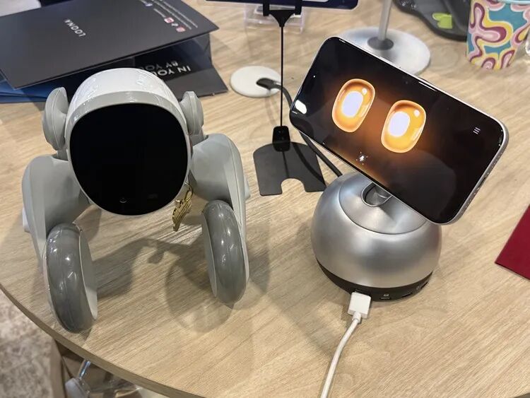 可以科技的Loona Petbot（左）和Loona Deskmate（右）