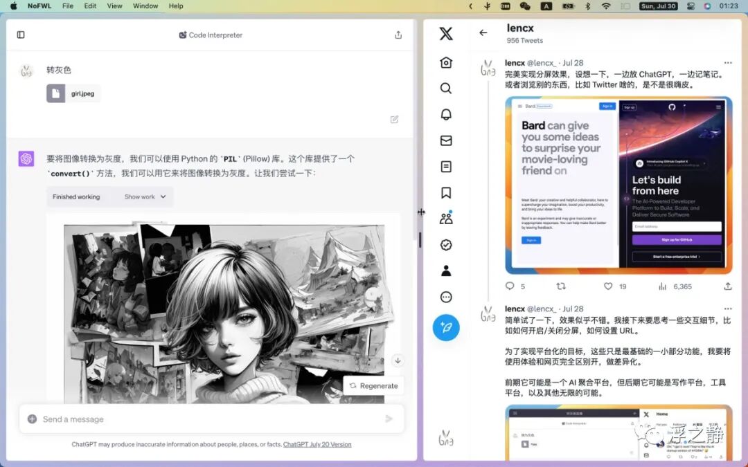 Image