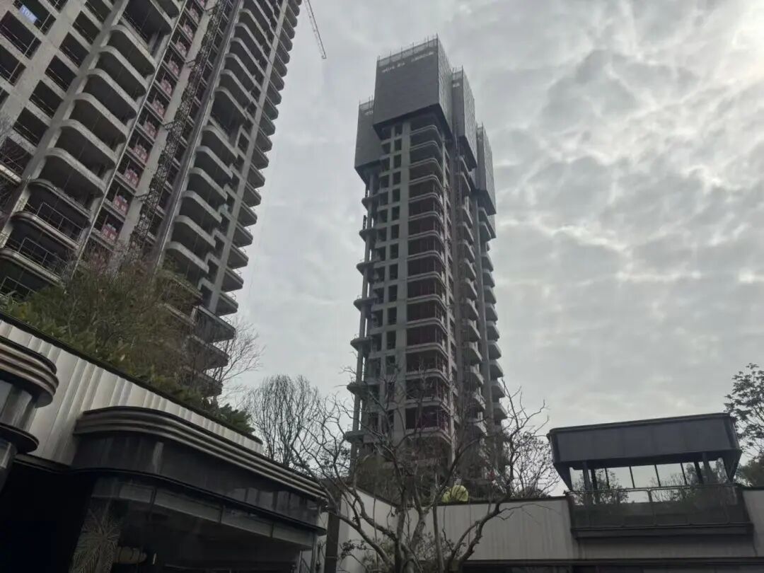 微信图片_2026-03-11_170330_974.jpg