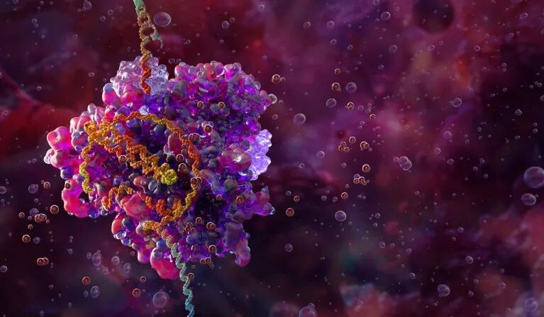 Illustration of a pink and purple coloured CRISPR–Cas9 gene editing complex bound to a spiral-shaped DNA molecule