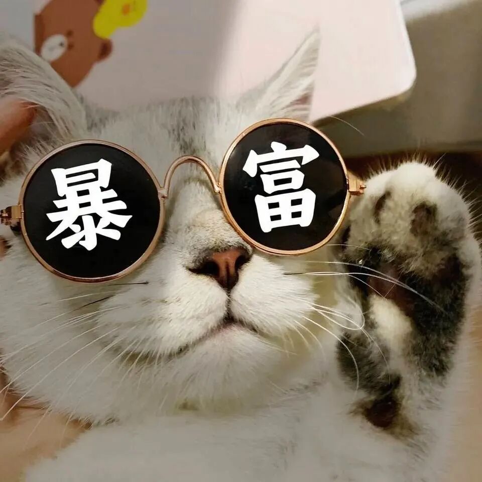 prompt：在眼镜左镜片上添加文字“暴”，右镜片上添加文字“富”