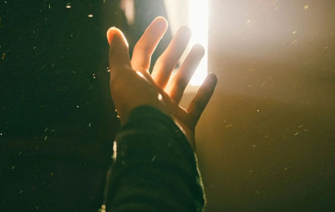 left human palm close-up photography