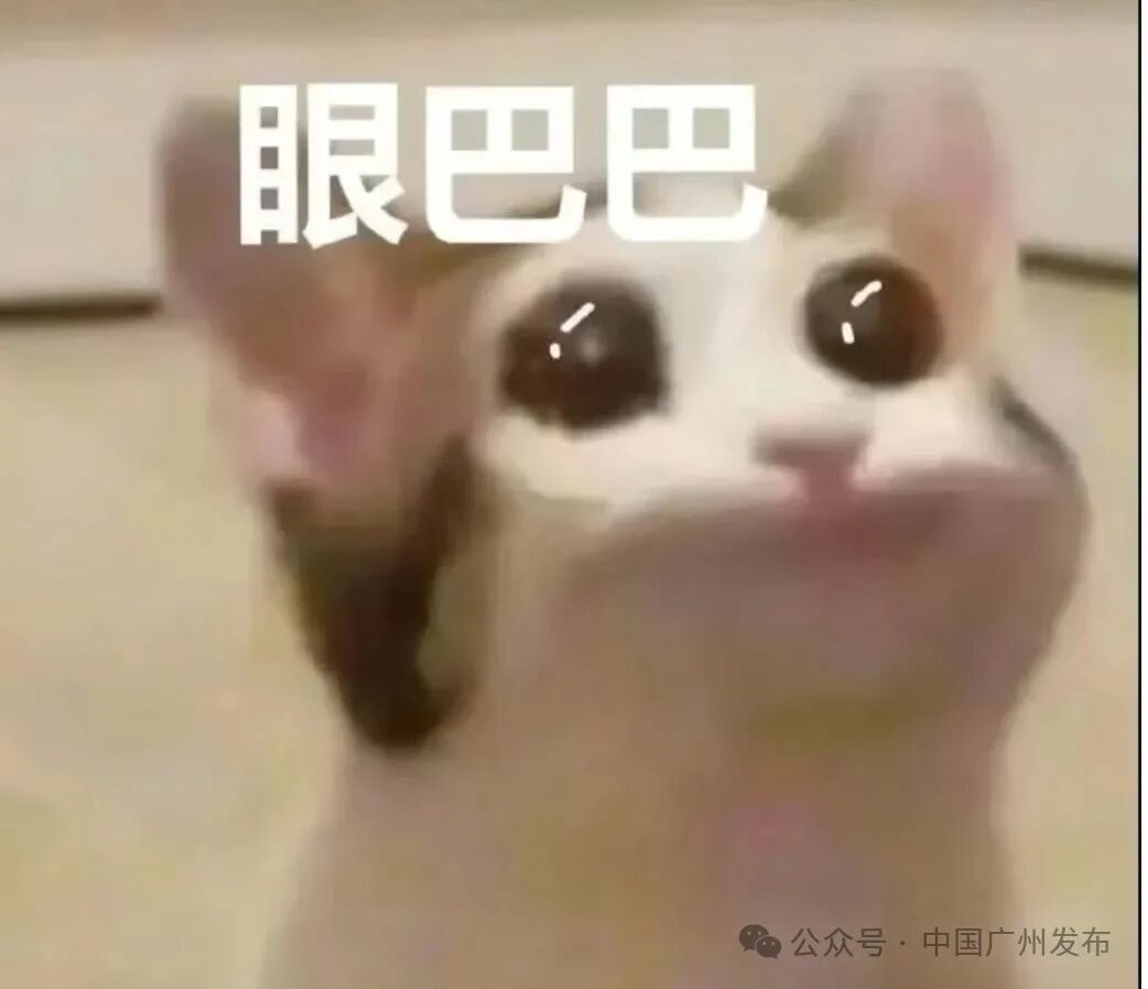 微信图片编辑_20250525155707.jpg