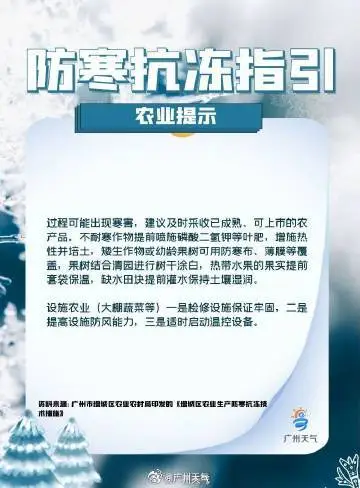 原图.jpg