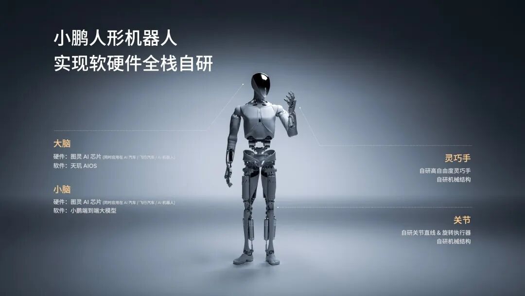 小鹏.jpg