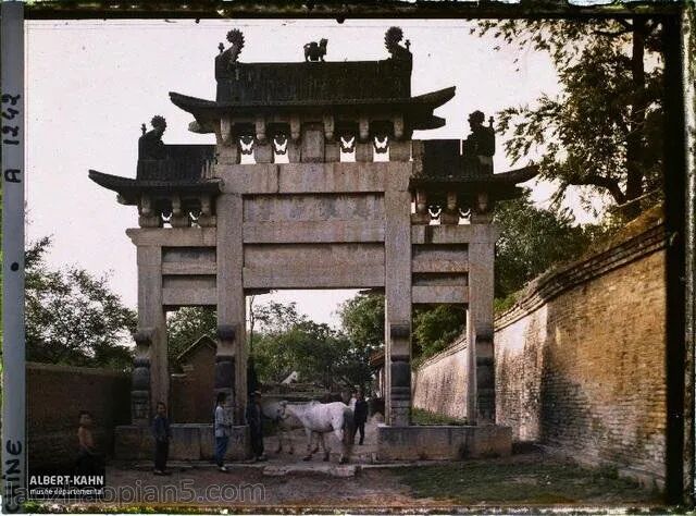 图片