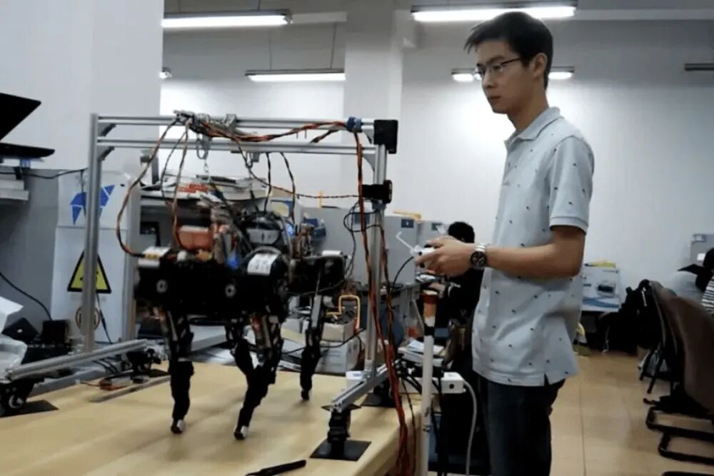 XDog, developed by Wang Xingxing during his graduate studies, is his most famous work.