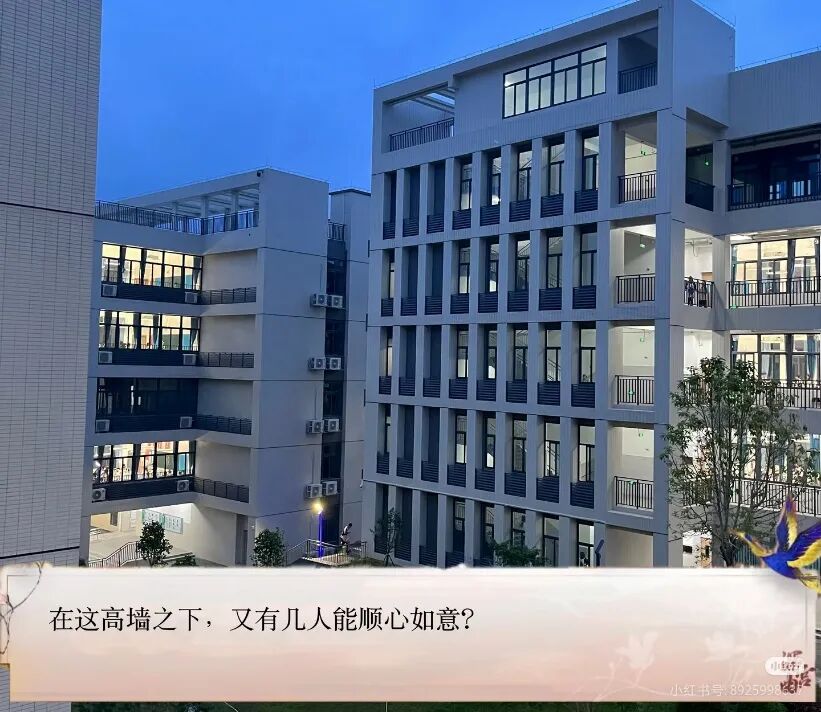 城市街道与高楼大厦 AI 生成的内容可能不正确。