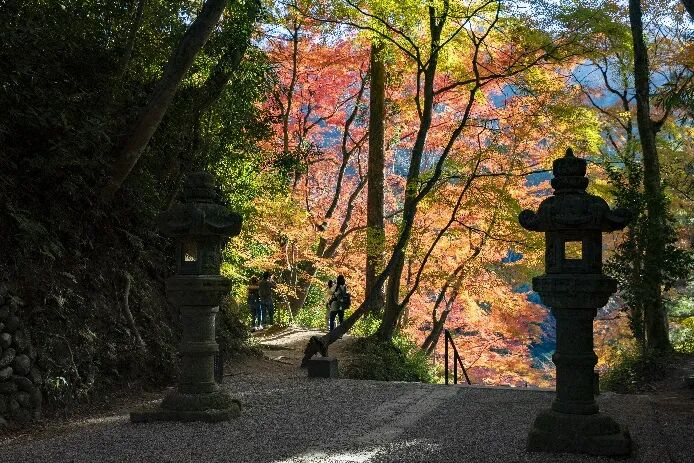 香积寺| 景点检索| AichiNow-爱知旅游官方网站