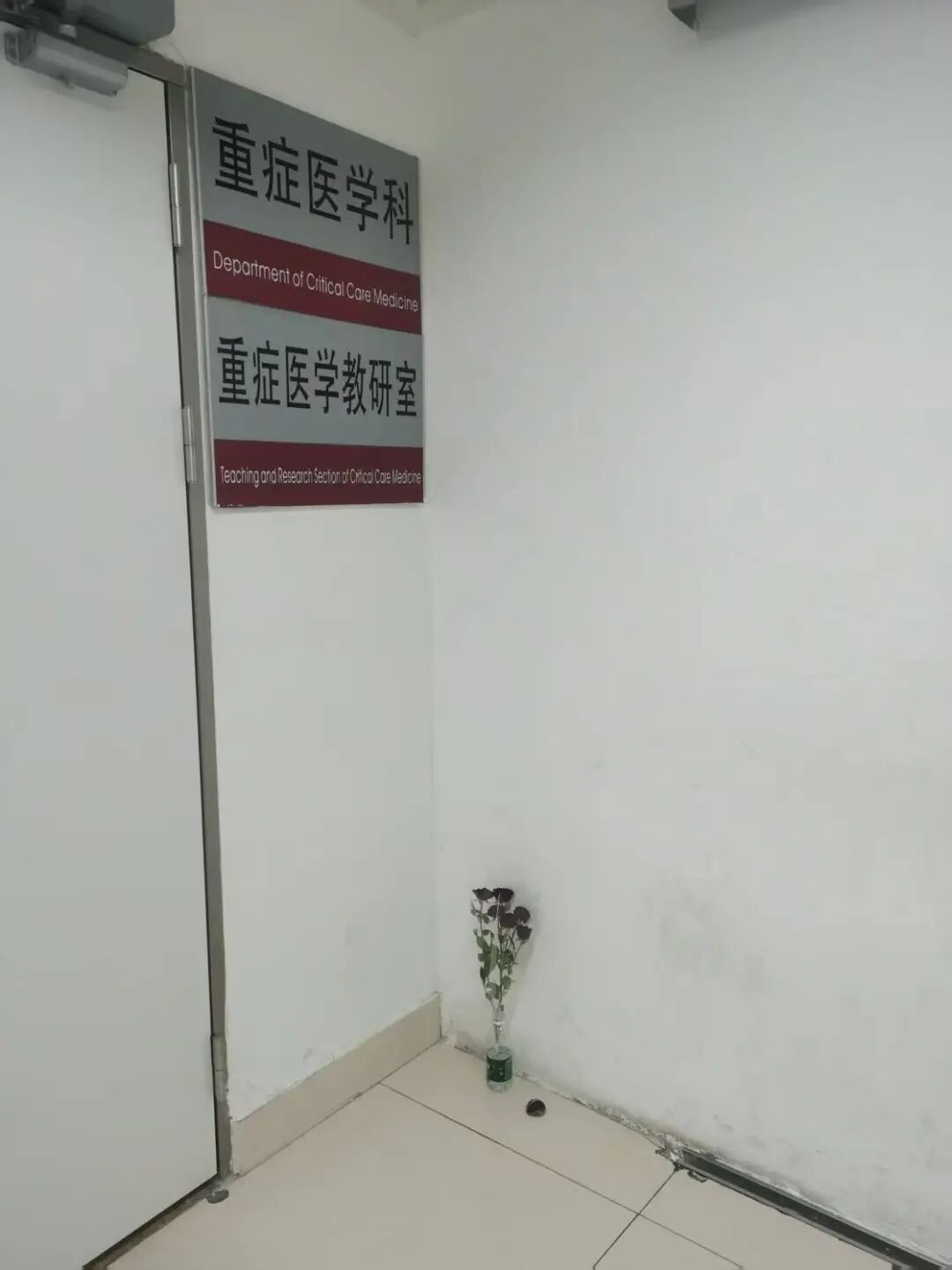 序号（164） 提交时间（2025/3/24 19:22:43）