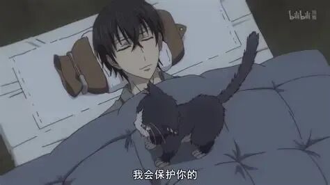 《同居人是猫》— 猫与人之间温暖的羁绊 - 哔哩哔哩