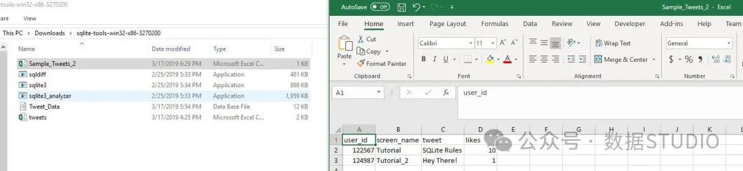 导出的 CSV 文件