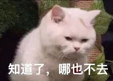 5e5589f8837bdc9ed6e1d128341ac51.jpg