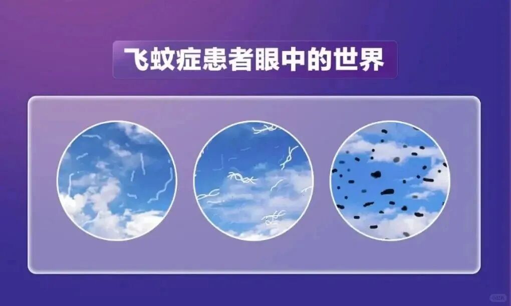 696e3852e7b92177269e9793989e2944.jpg
