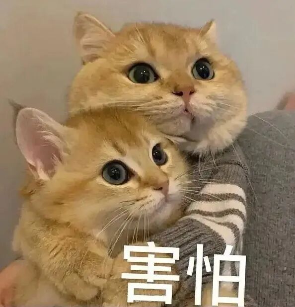 微信截图_20250416145308.png