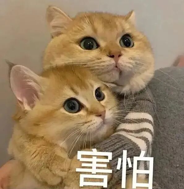 微信截图_20250423161249.png