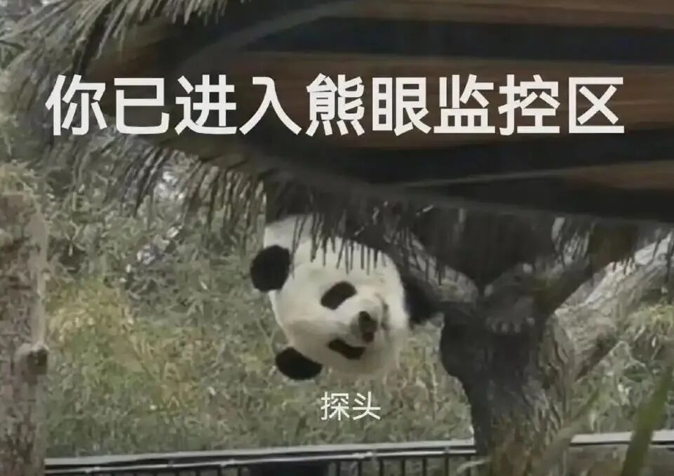 微信截图_20250412121704.png