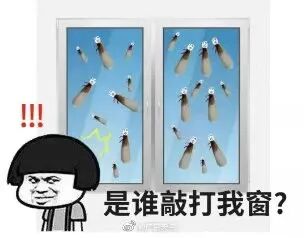 86e38c74a5efb1e8ca335b6e9e3eab6.jpg