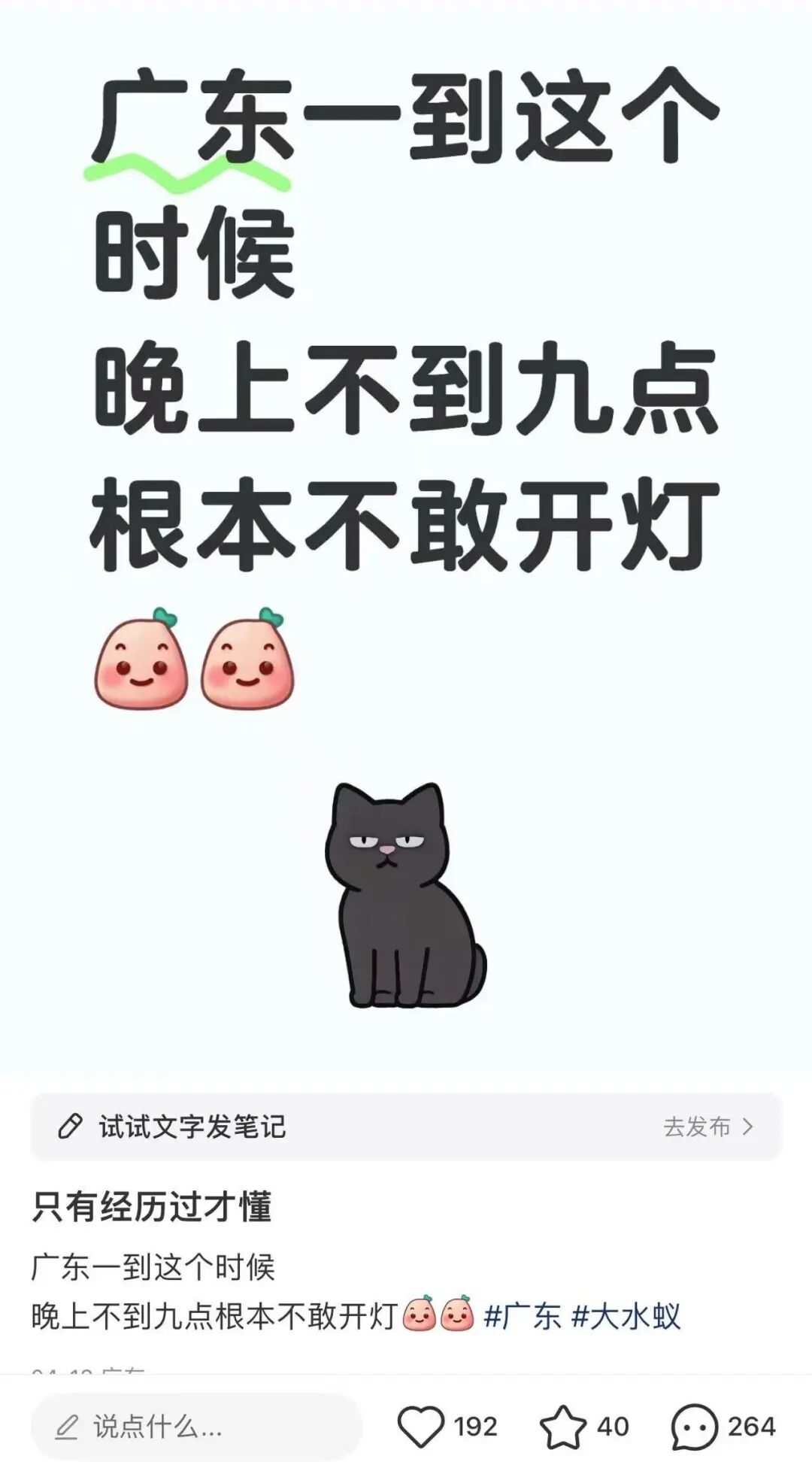 fce312f0d9fded160f443e1f8073b9f.jpg