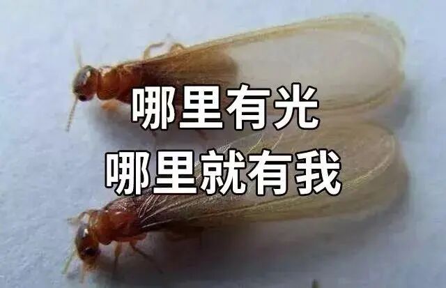 553e68673cf8cd860c97649c3c596ac.jpg