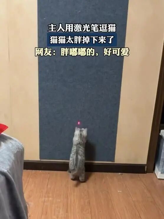 微信图片_20250909165424.jpg