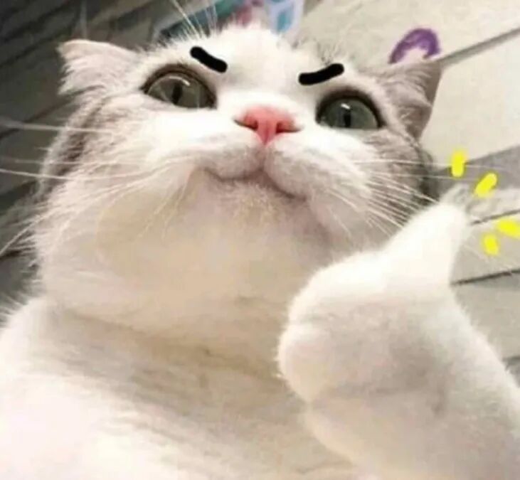 微信截图_20250704141656.png