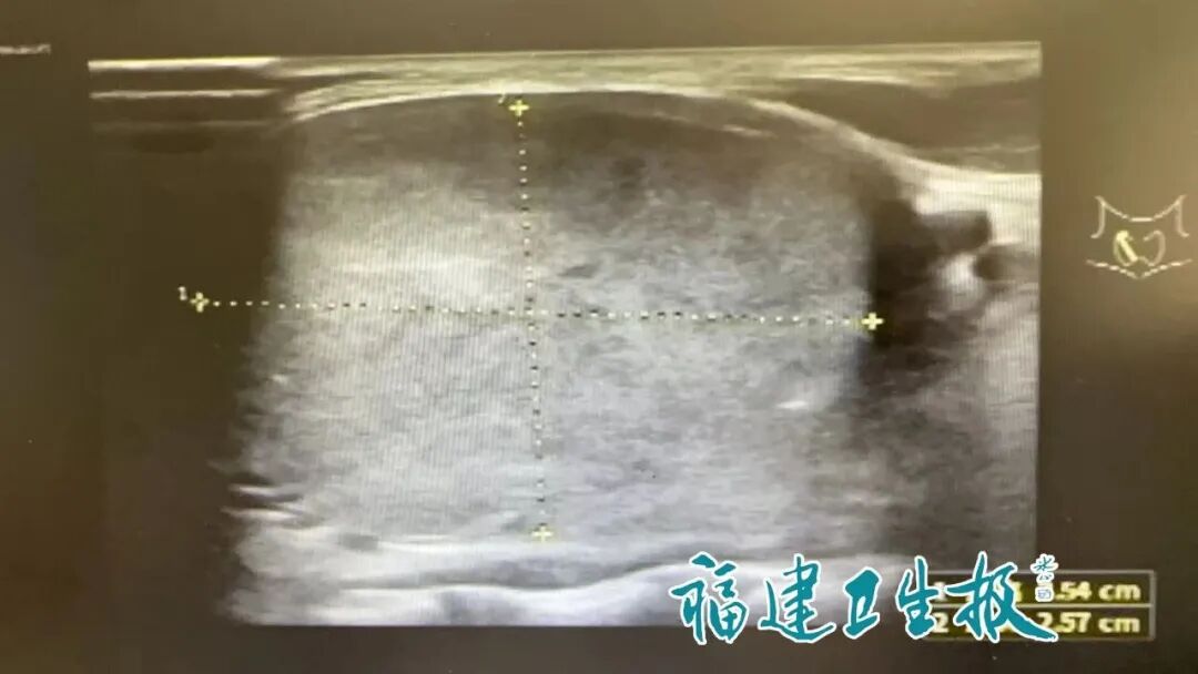 微信图片_2025-08-18_191301_415.jpg