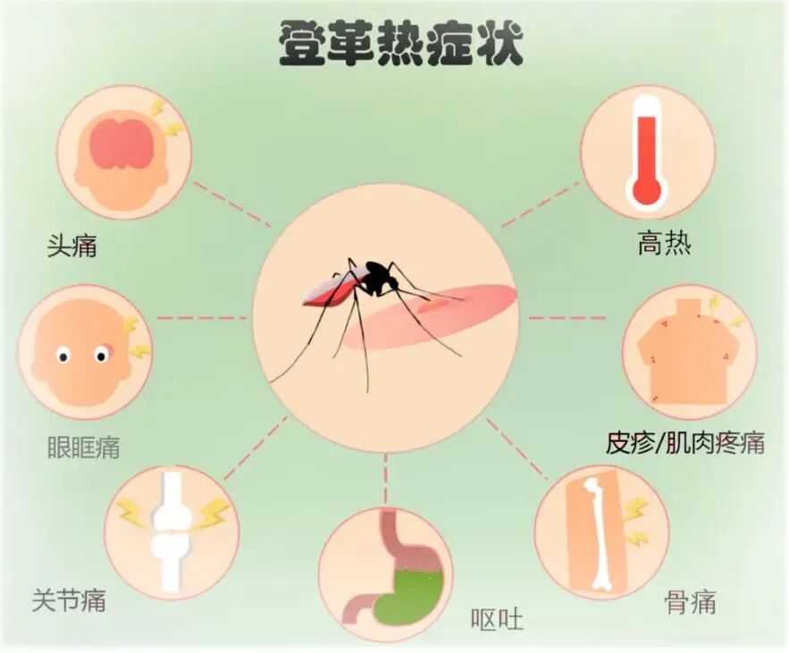 微信截图_20250622163958.png