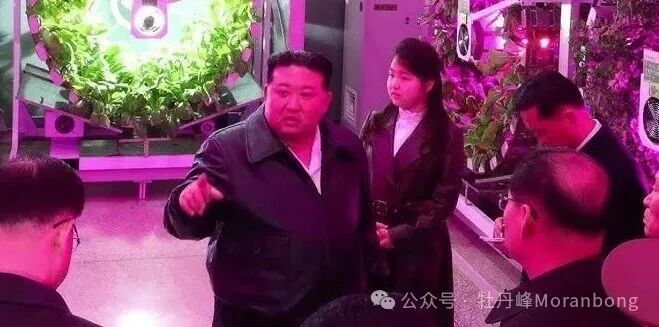 김정은, 딸 주애와 '온실농장' 준공식 참석 / YTN