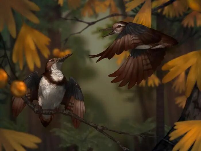 Life reconstruction