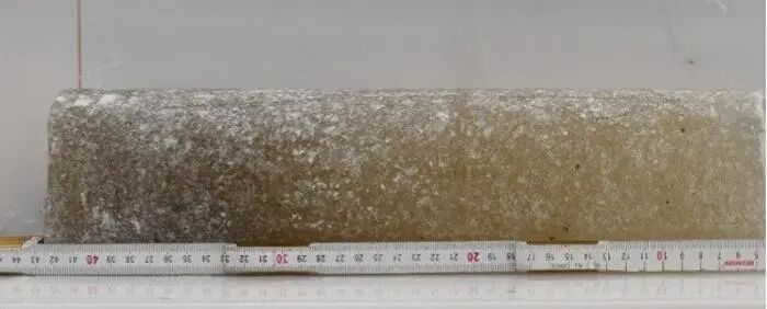 A photo of a frozen ice core with a measuring rod underneath