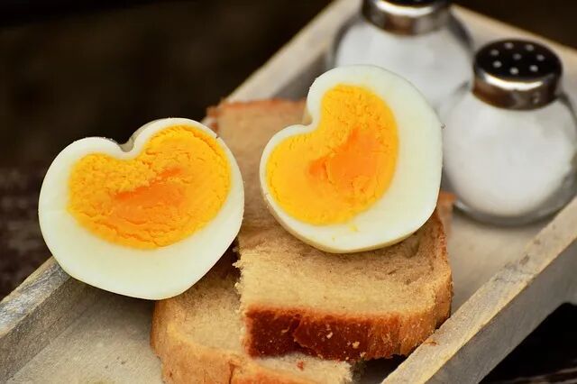 Free Egg Hen'S Egg photo and picture