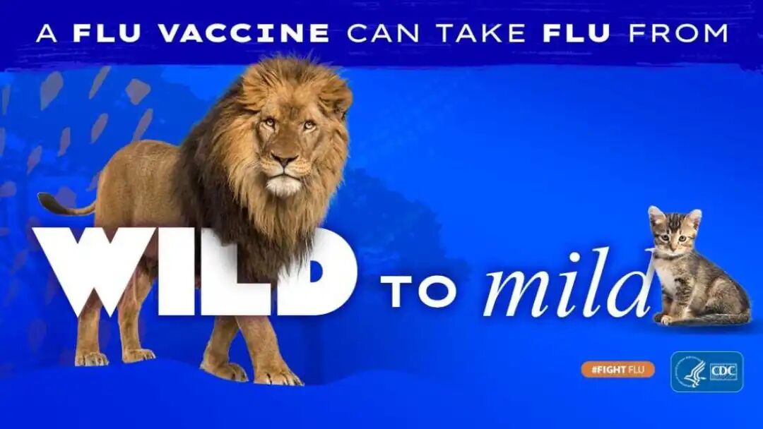 This social media graphic shows a lion on the left and a kitten on the right, against a blue background. Text on the graphic says: "A flu vaccine can take flu from wild to mild."