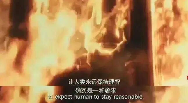 今天，你给《流浪地球》打一星了吗？