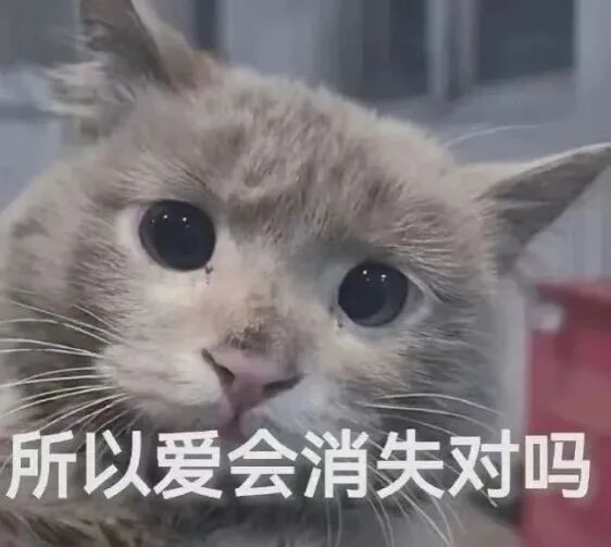 C:\Users\ASUS\Documents\WeChat Files\wxid_yq2m1zce72vc22\FileStorage\Temp\82efa4808d91ee928e64ed31c0b01c2.jpg
