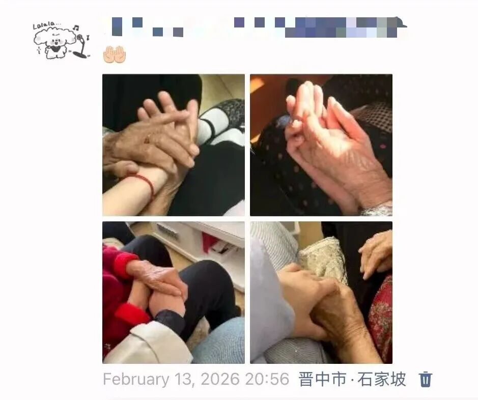 序号（123） 提交时间（2026/5/26 0:28:30）